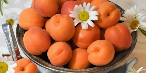 Cake met abrikozen recepten bij liefdesverdriet